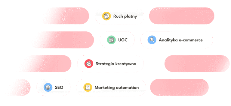 Performance marketing dla e-commerce | MTA Digital