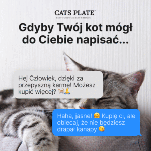 Kot śpi na kanapie, a na tle widoczne są dymki czatu: kot prosi o więcej karmy Cats Plate, właściciel się zgadza pod warunkiem, że kot nie będzie drapał kanapy.
