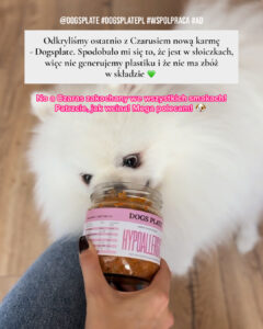 Biały szpic (pomeranian) je karmę Dogs Plate z szklanego słoiczka trzymanego przez dłoń.